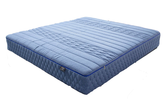 エクリプス コットン ラックス ジップベース アイヴィトレス